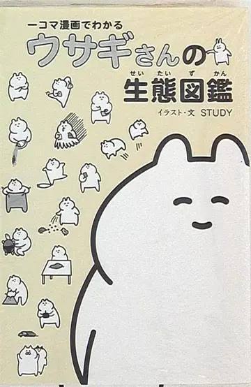 와니북스 STUDY 한 장면 만화로 이해하는 토끼 생태 도감