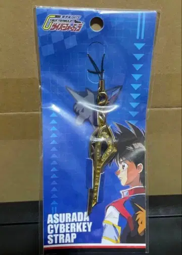 아스라다 사이버 키 스트랩 사이버 포뮬러