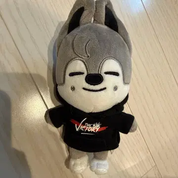 스키즈 스트레이 키즈 울프찬