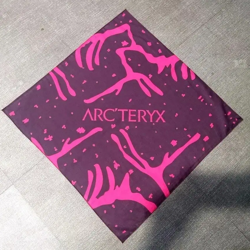 Arc'teryx スケルトン鳥グラフィック