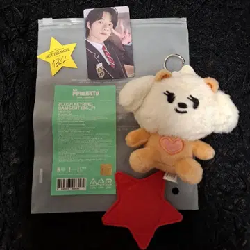 범규 봉제 인형 키링 & 범규 포토카드 세트