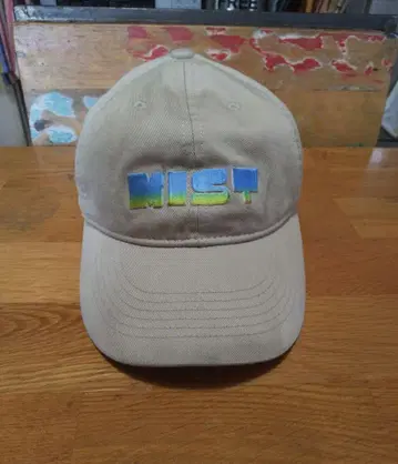 TACOMA FUJI HEADWEAR MIST 캡