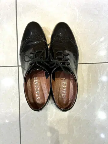 STACCATO 에나멜 윙팁 통굽 24.5cm