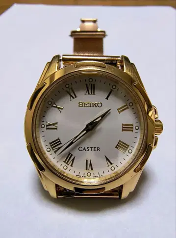 SEIKO CASTER 키네틱 손목시계 벨트 새상품