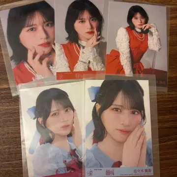 사사키 마이카 극약 중독 봉입