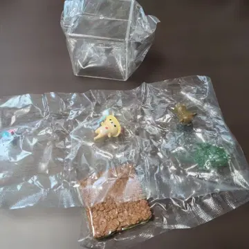 코리락쿠마 계절 테라리움 여름 숲의 물가 리멘트