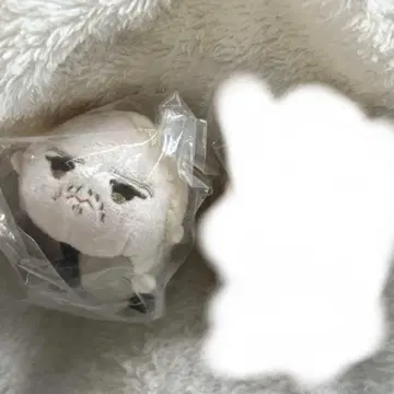 진격의 거인 라이너 모찌마스