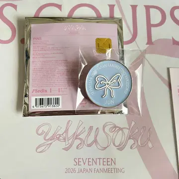 seventeen YAKUSOKU 준 핀배치