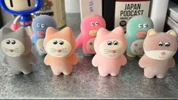무뉴 7개 세트