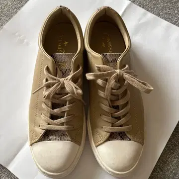 converse 베이지 가죽 스니커즈