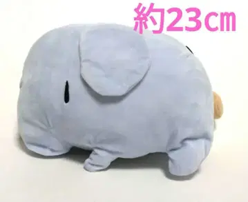다이소 Zoo(주) 컬렉션 소이조 봉제 인형 다이소 구하기 어려움 23cm