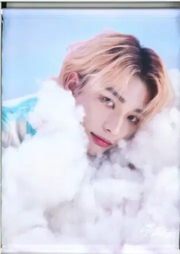 StrayKids 2023 5-STAR 현진 태피스트리