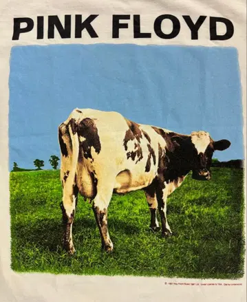 Pink Floyd ATOM HEART MOTHER 1997 티셔츠