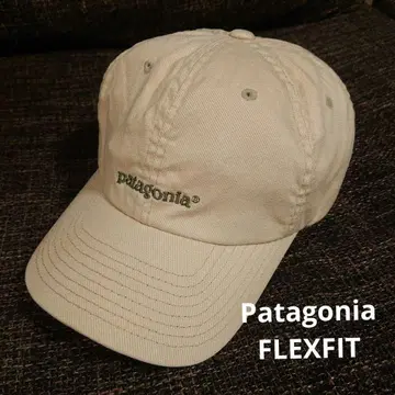 Patagonia FLEXFIT CAP 파타고니아 캡 레어템 레어