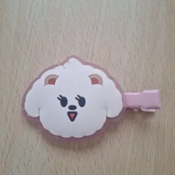 TXT 범규 헤어 클립