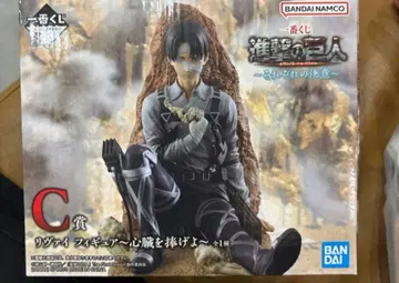 C상 리바이 진격의 거인 각각의 결의