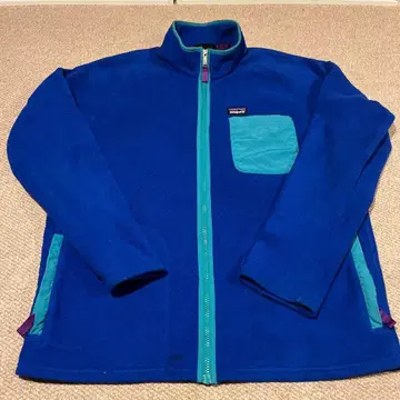 Patagonia 플리스 자켓 파랑