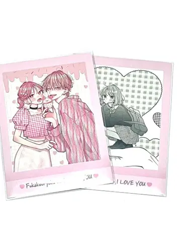 불가항력의 ILoveYou 파샤코레