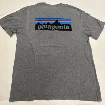patagonia 그레이 T셔츠
