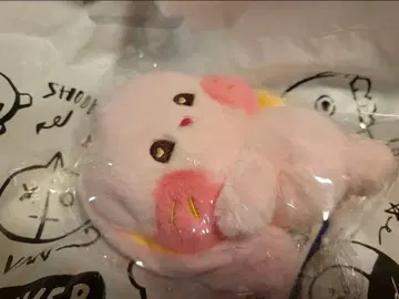 하니 뉴진스 부니니 뒹굴뒹굴 봉제 인형 라인프렌즈