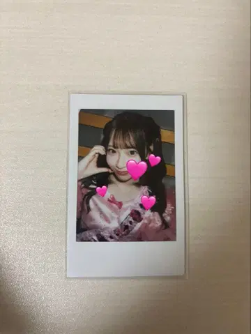 사쿠라바 하루카 폴라로이드