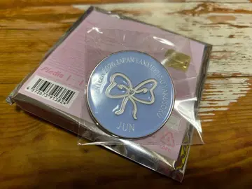 세븐틴 약속 핀즈 준