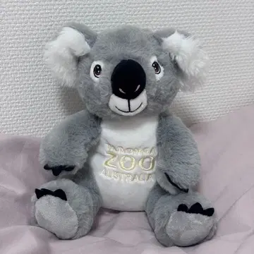[새상품급] 코알라 봉제 인형 타롱가 동물원 호주 시드니 약 23cm