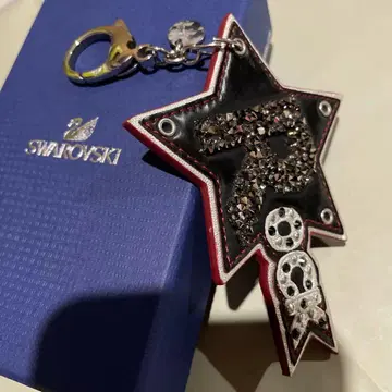 레어 Swarovski 별 모양 키링 스컬 모티브