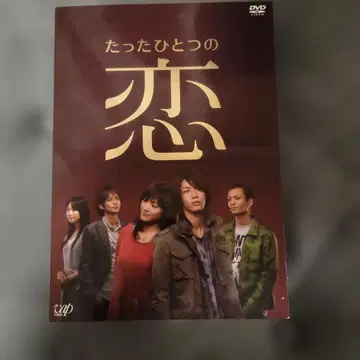 단 하나의 사랑 DVD