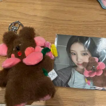 원희 곰 봉제 인형 키링 사진