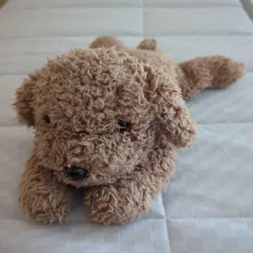 레어 단종 상품 니토리 흐물흐물 봉제 인형 토이 푸들 강아지 봉제 인형