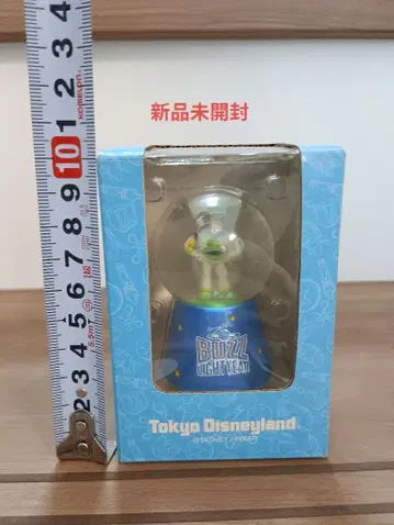 토이스토리 워터그로브 버즈 라이트이어 Disneyland