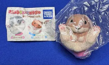 만마루쨩 아기 동물 토끼 브라운 토끼