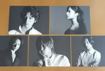 꽃보다 남자 파이널 초회 생산 한정판 프리미엄 에디션 DVD