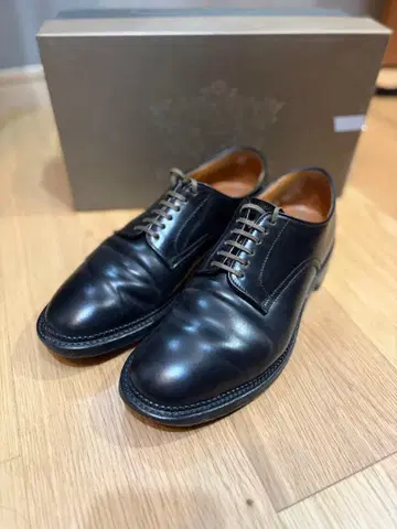 셰틀랜드 폭스 코도반