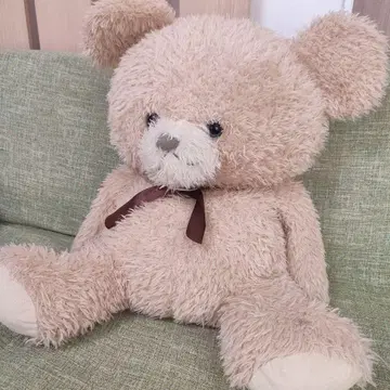 테디베어