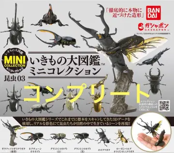 BANDAI 생물대도감 미니 컬렉션 곤충 03 전 6종 컴플리트