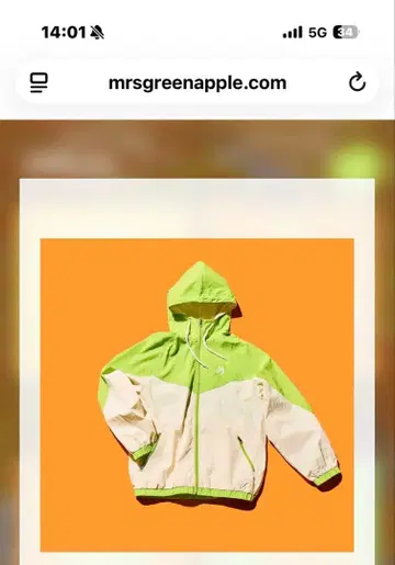 Mrs. GREEN APPLE 나일론 후드티 L 사이즈