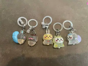 치이카와 메지루시 액세서리