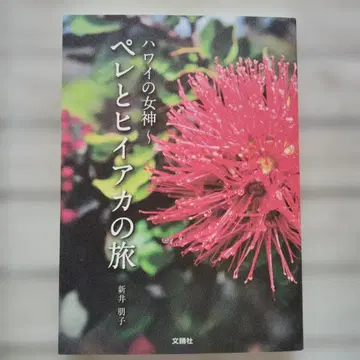 하와이의 여신 펠레와 히이아카의 여행