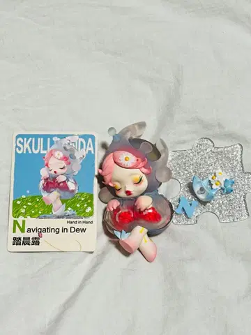 SKULLPANDA 스컬팬더 Navigating in dew