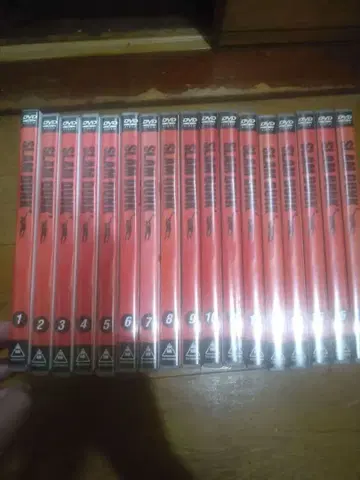 SLAM DUNK DVD 전 17권 세트 루카와 저지