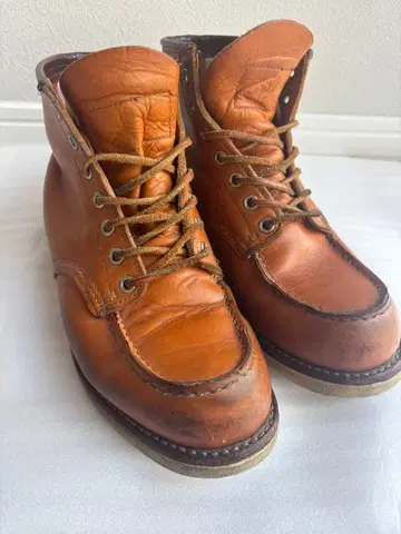 [ RED WING 9875 ] 아이리쉬 세터 개택 25cm US7E