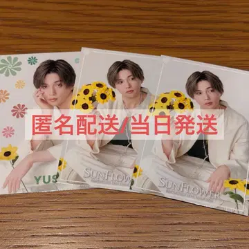 야기 유세이 포토 카드 SUNFLOWER 세트