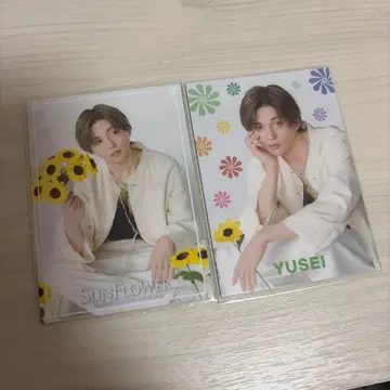 야기 유세이