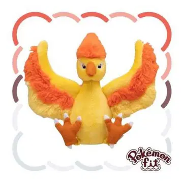 포켓몬 파이어 Pokemon fit 봉제 인형