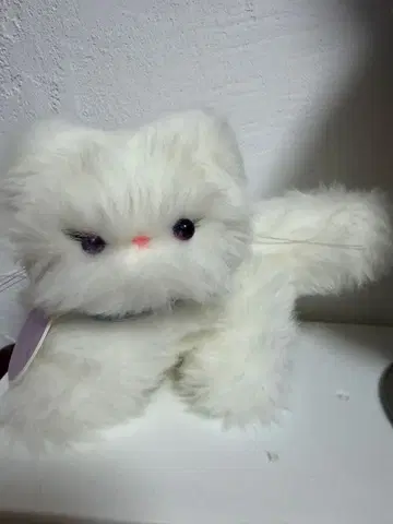 작가님 고양이 봉제 인형 고양이 kyancy house님