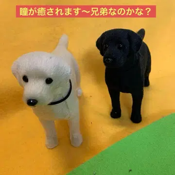강아지 인형 입상 2체 세트 힐링 귀여운