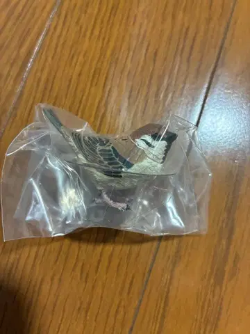 네이처 테크니컬러 참새 캡슐 토이