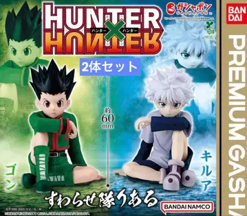 HUNTER x HUNTER 스와라세타이 리얼 곤 키루아 2체 세트 판매